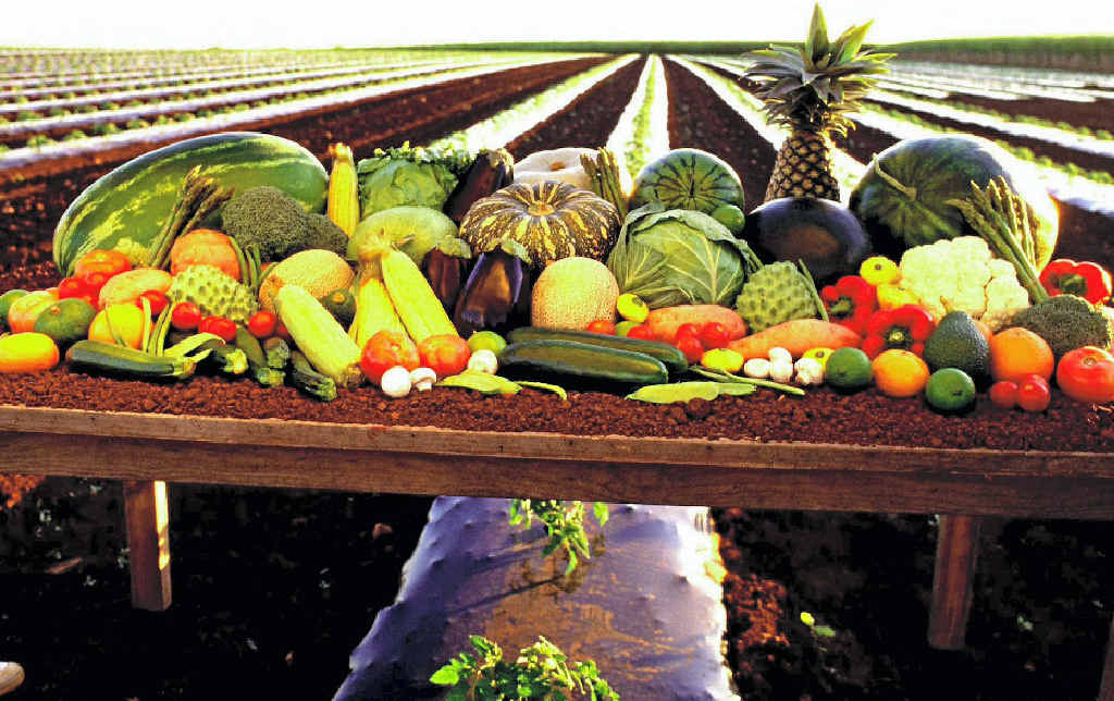 LOCAL IS BEST: The Bundaberg Region has so much to offer. LOCAL IS BEST: The Bundaberg Region has so much to offer.